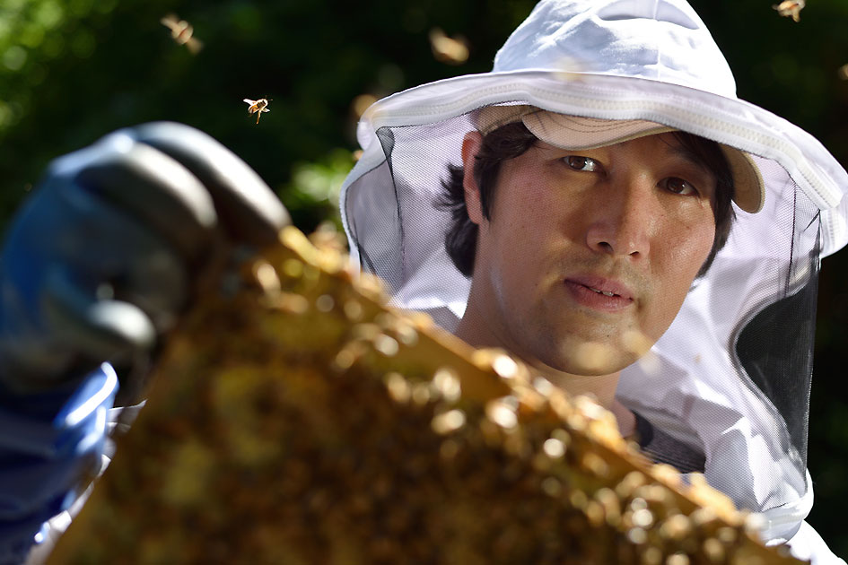 私のNIKKOR私のニコンにおいて高橋養蜂が紹介されました