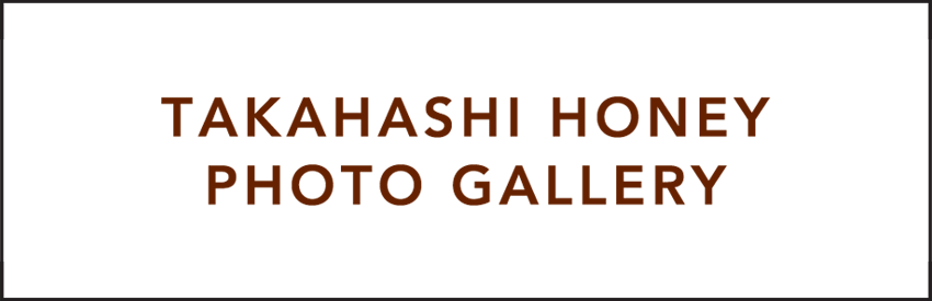 TKAHASHI HONEY PHOTO GALLERY