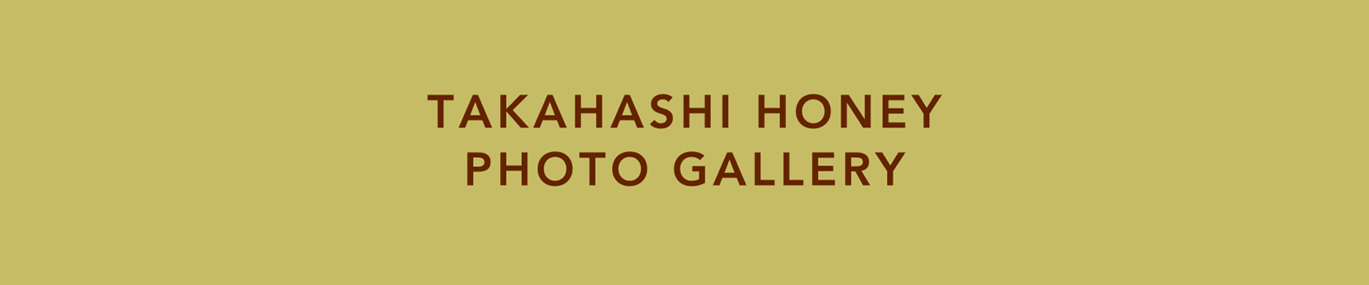 TAKAHASHI HONEY PHOTO GALLERY